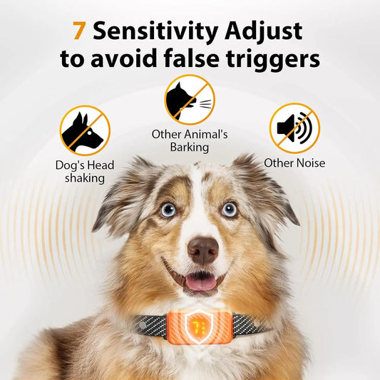 Bark Collar – Smart Anti-Bark Training Collar for Small, Medium & Large Dogs