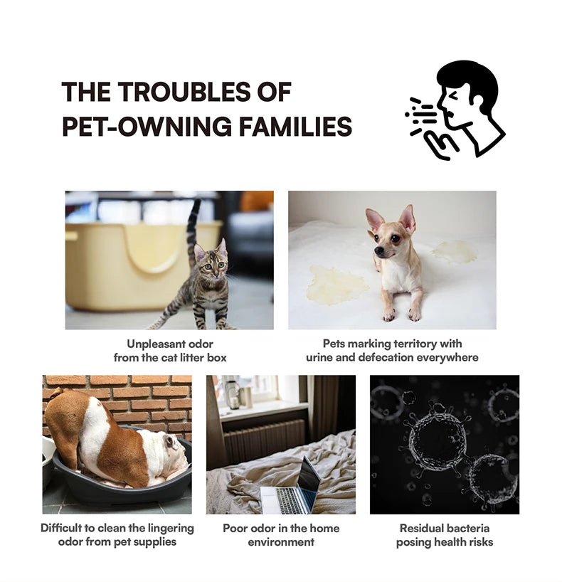 Pet Odor & Stain Remover Spray – Enzyme Cleaner for Dogs & Cats
